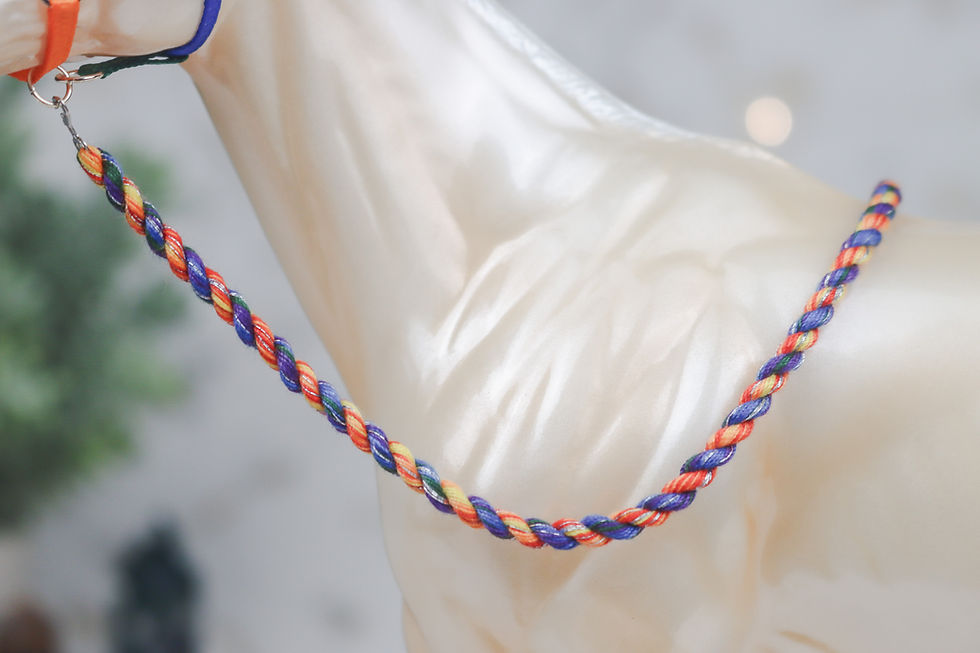 Thumbnail: Rainboom - Traditional Scale Halter Set