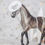 Thumbnail: Raptor Trainer - Traditional Scale Cowboy Halter Set