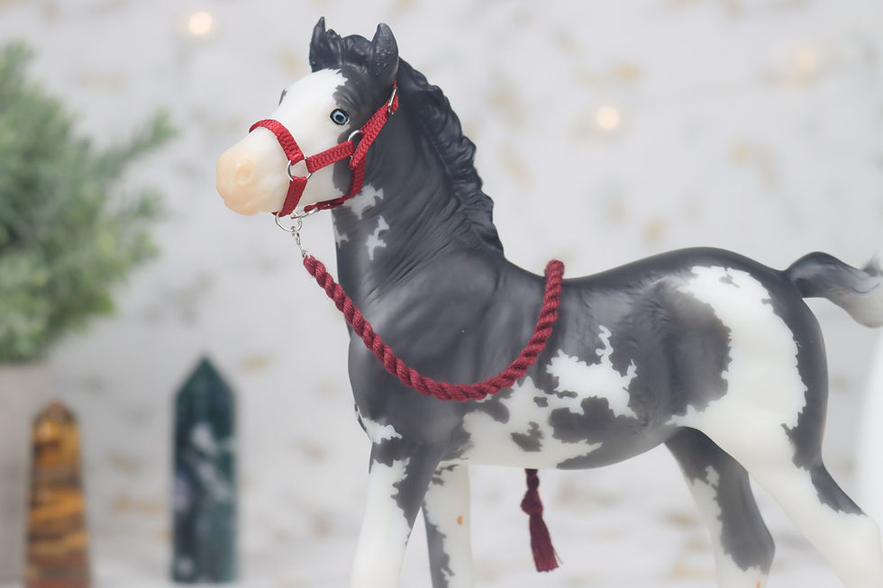 Thumbnail: Red Hot Chili Pepper - Traditional Scale Foal Halter Set