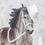 Thumbnail: Raptor Trainer - Traditional Scale Cowboy Halter Set