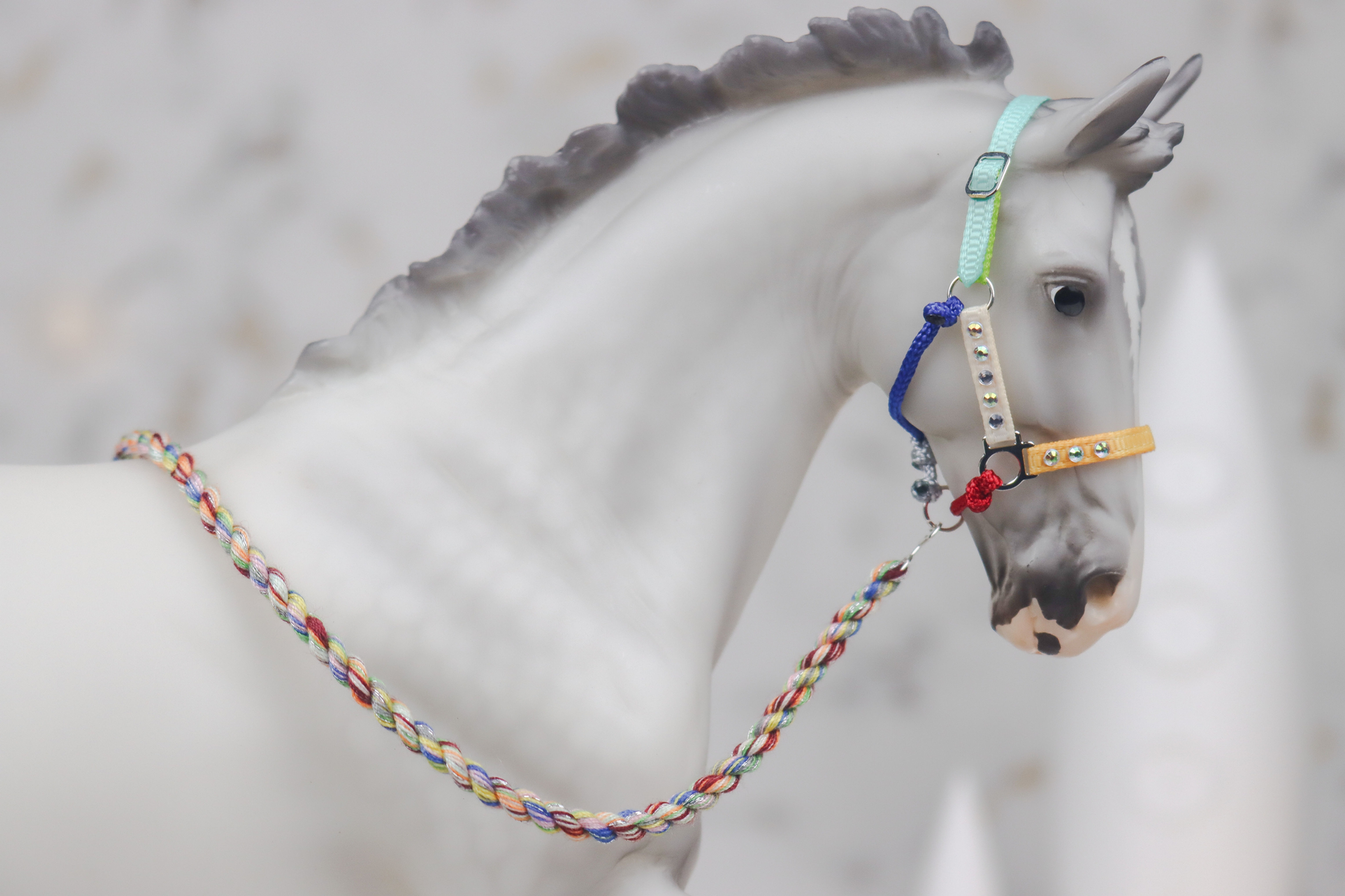 Pinned Comment - Traditional Scale Hybrid Halter Set