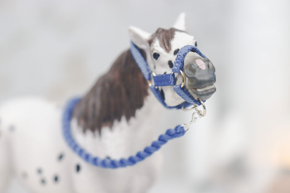 Thumbnail: Neptune - Schleich Horse Halter Set