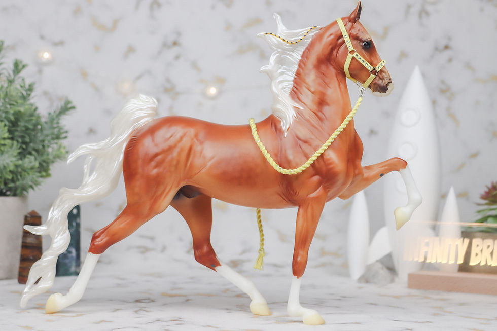 Thumbnail: Stage Lights - Traditional Scale Halter Set