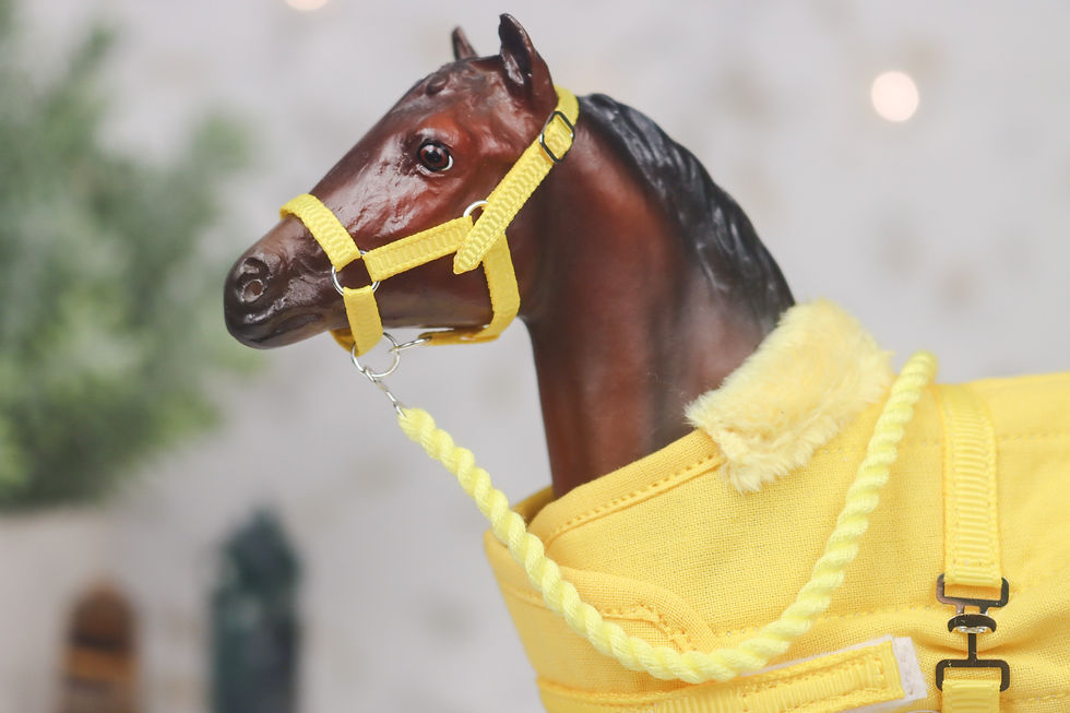 Thumbnail: Marigold - Traditional Scale Foal Blanket Set