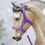 Thumbnail: 12 Grapes - Traditional Scale Halter Set