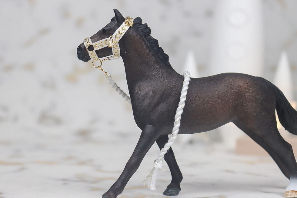Thumbnail: Reflectivity - Schleich Horse Halter Set