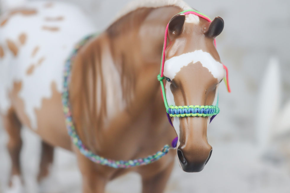 Thumbnail: Marrakech - Traditional Scale Rope Halter Set
