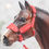 Thumbnail: Imperial Guard - Traditional Scale Fleece Halter Set