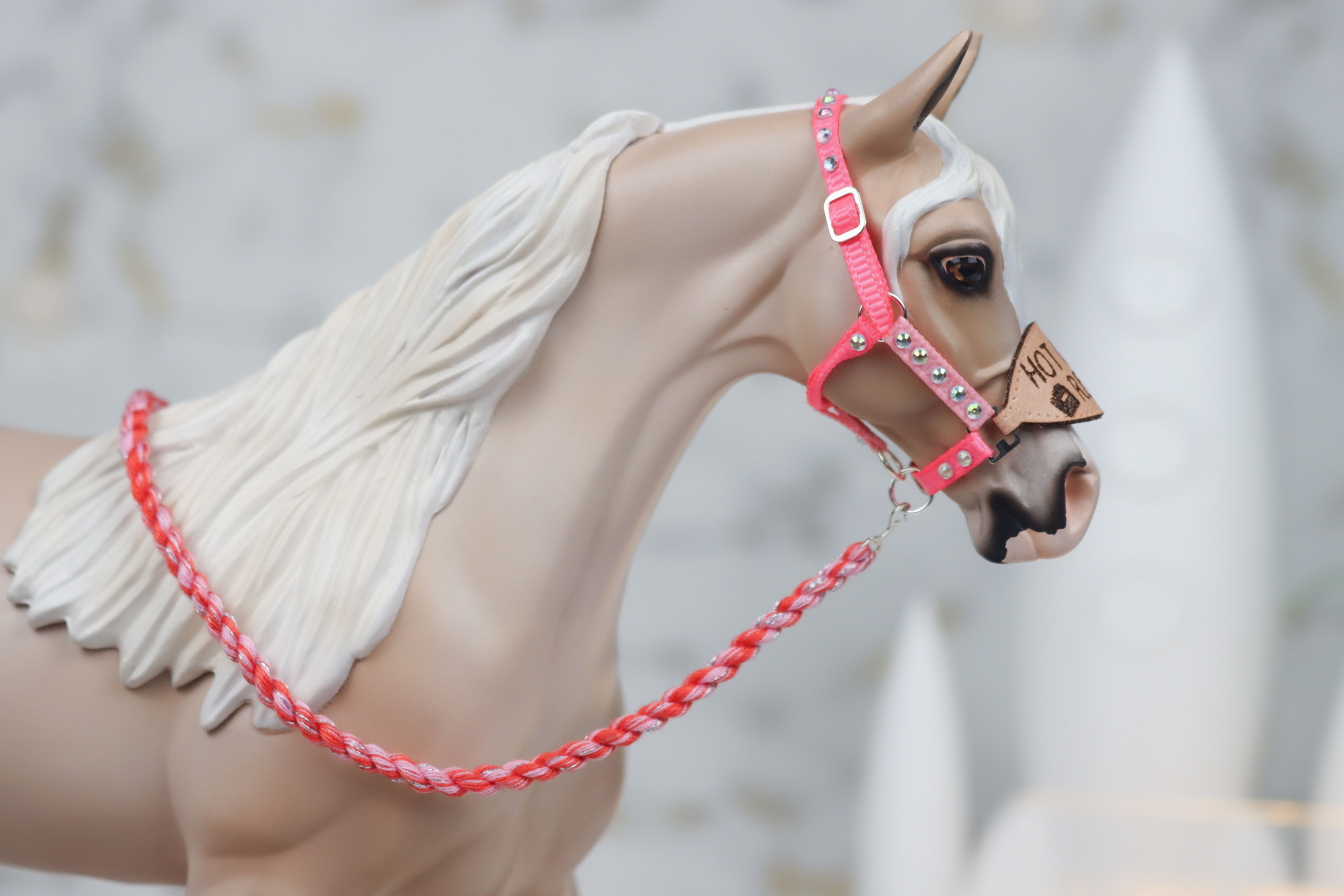 Hot Girls Read - Traditional Scale Bronc Halter Set