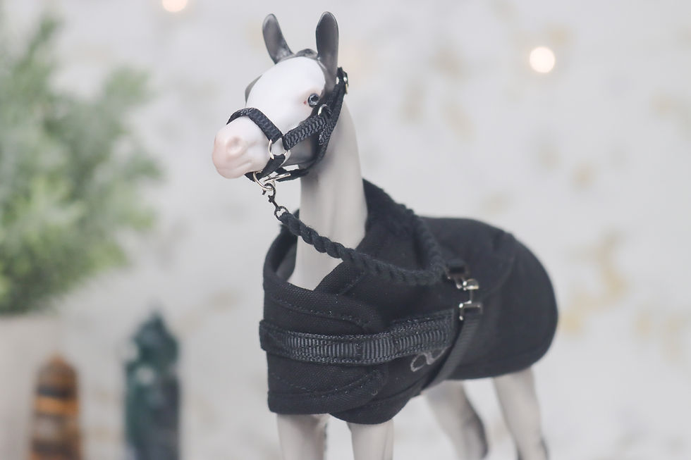 Thumbnail: Onyx - Traditional Scale Foal Blanket Set