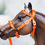 Thumbnail: OJ - Traditional Model Horse Hackamore