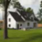 Spacious white house, green lawn, tree