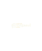 mega sul.png
