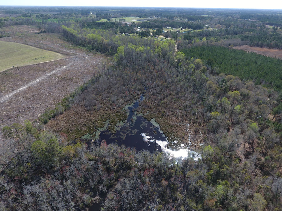 DJI_0047.JPG
