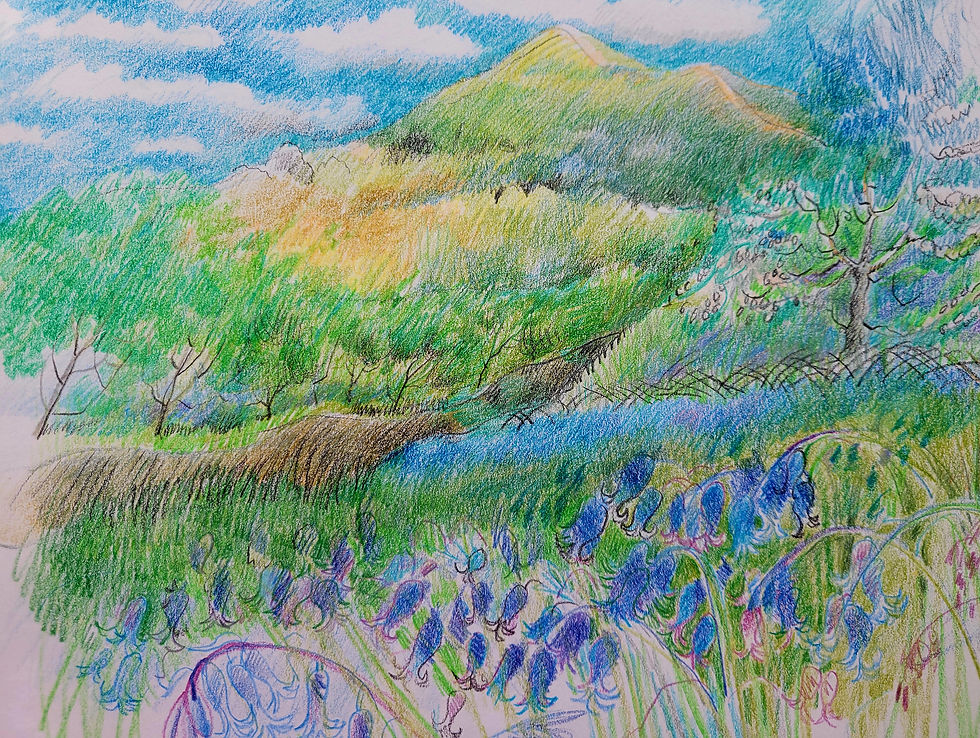 Bluebell bank, malvern