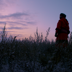TRAVEL ALBERTA | EMBRACE THE BUFFALO
