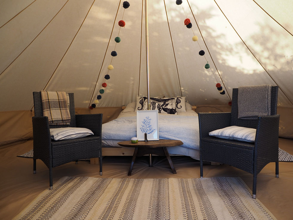 Inside a bell tent at Foxglove Field