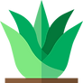 002-aloe-vera.png