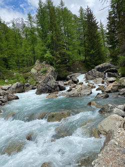 IMG_5377