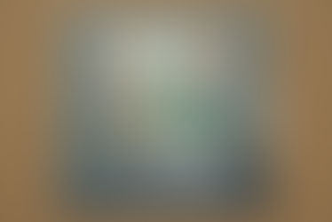 Callie In The Window