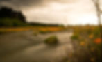 Poppy River Dominic Stove_edited.jpg