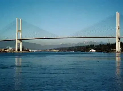 bridge.webp
