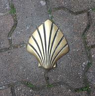 Shell on Pathway Modified.jpeg