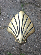 Shell on Pathway Modified.jpeg