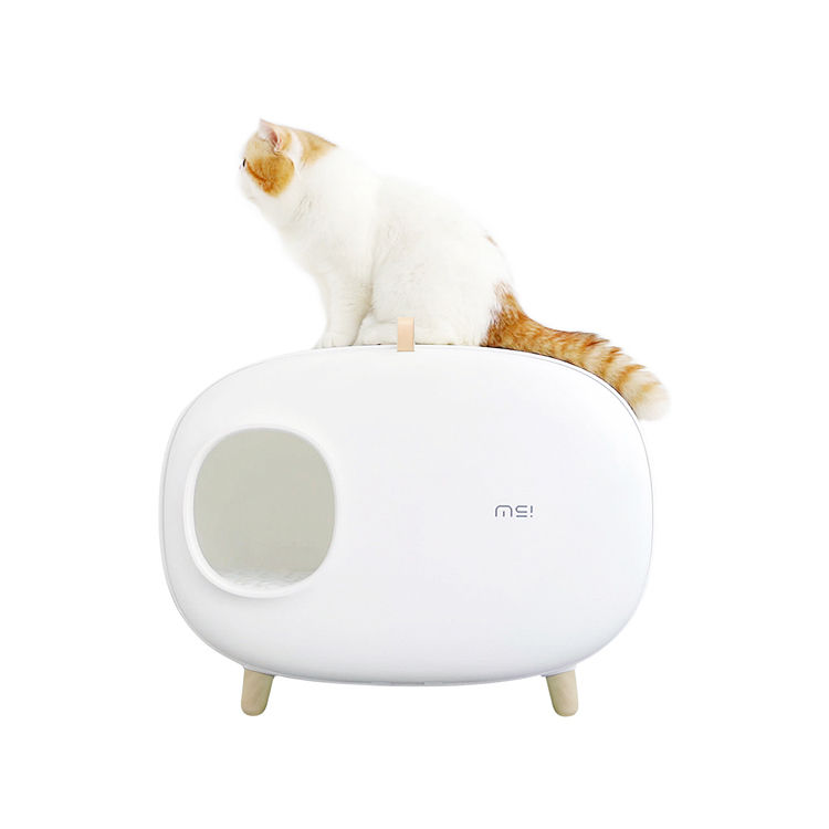 Litter Box