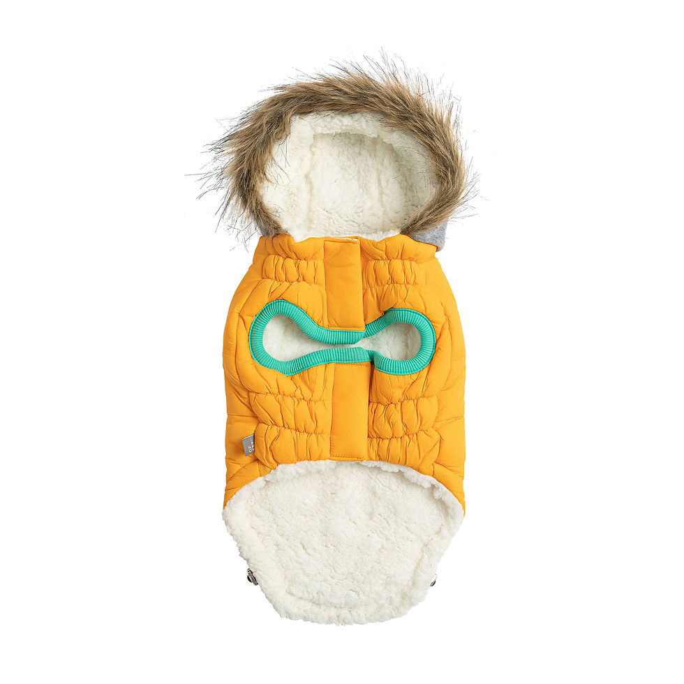 Thumbnail: Winter Sailor Parka - Yellow