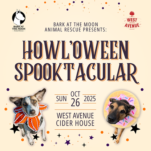 Howloween - Website.png