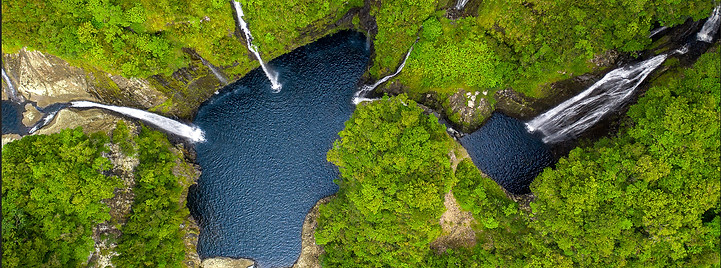 Takamaka picture 1.jpg