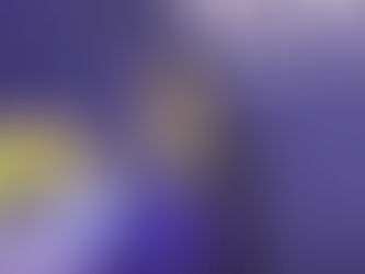 彭双浪:開發雙語數位學習 落實台灣成世界智慧島