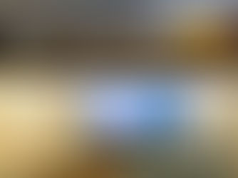 Expo Temporaire Musée Rozanoff