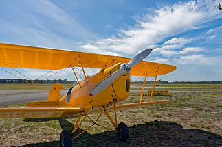 DSC_3942stampe.jpg