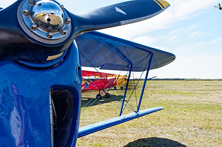 DSC_3940stampe.jpg