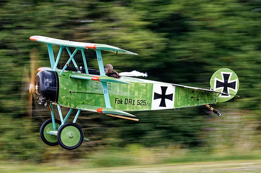 DSC_3578Fokker Dr I.jpg