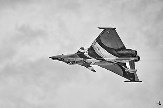 _NZ91333_NikRSD 2024 Valence.jpg