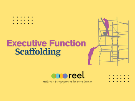 Executive Function Scaffolding