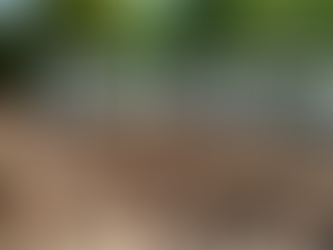 May is Deck Safety Month - Be Sure to Inspect Your Deck!