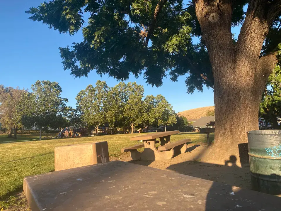 Ramblewood Park’s Picnic Area