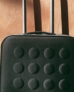 Cropped Black Luggage