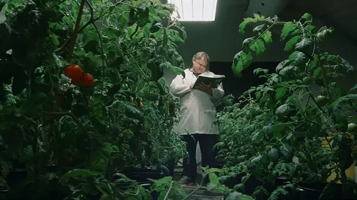 Graphic Design - CUSTOM LOGOS & BRAND ASSETS.jpg