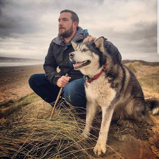 Husky dog sitting by the beach with owner close by