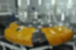 The Orion Multi Purpose Crew Vehicle