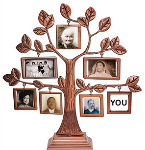 Photo Collage Tree (Instagram Post)_Cropped.png