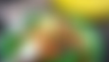 Tijuana Street Food Tour