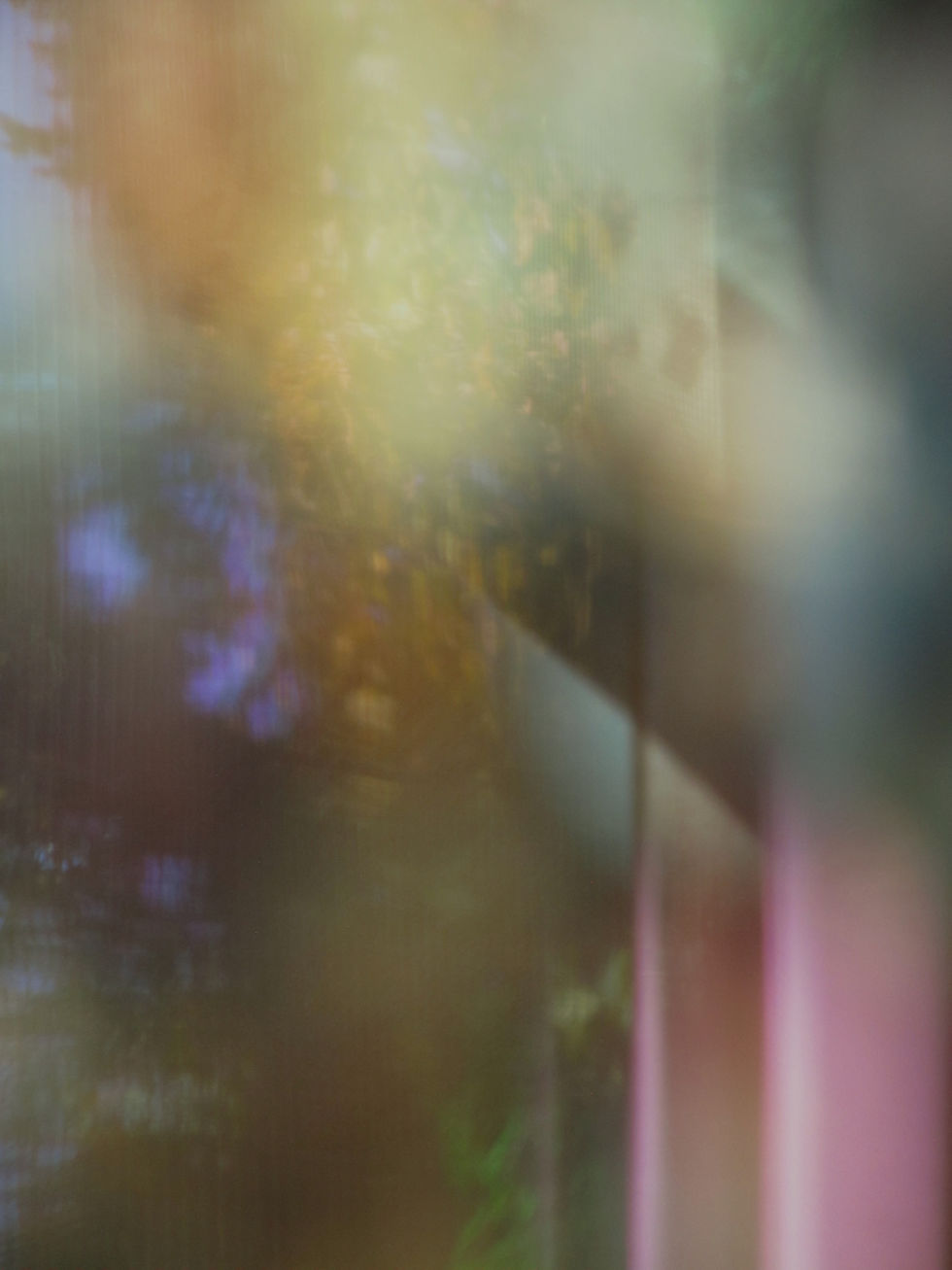 NaturesTapestry by Leslie Ebert