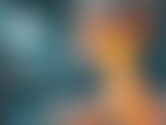 Spinal wellness chiropractor