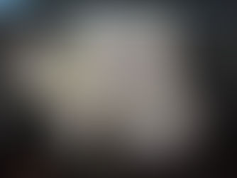 5 reasons why to come to the ANCHISE Final Forum